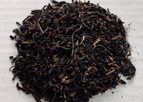 Biologische thee Earl Grey Darjeeling Bio 923